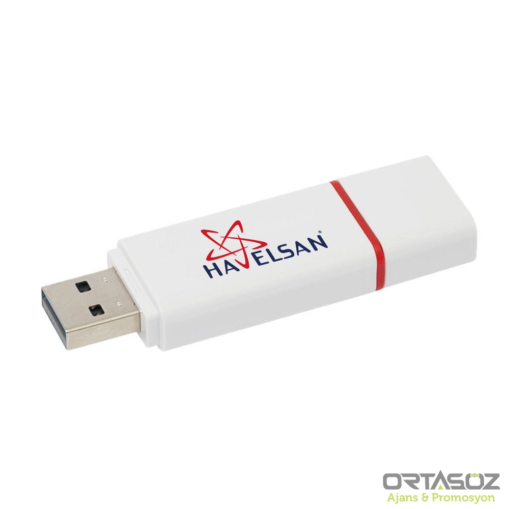 2230 MENGÜCEKLİLER PLASTİK USB BELLEK (32 GB)